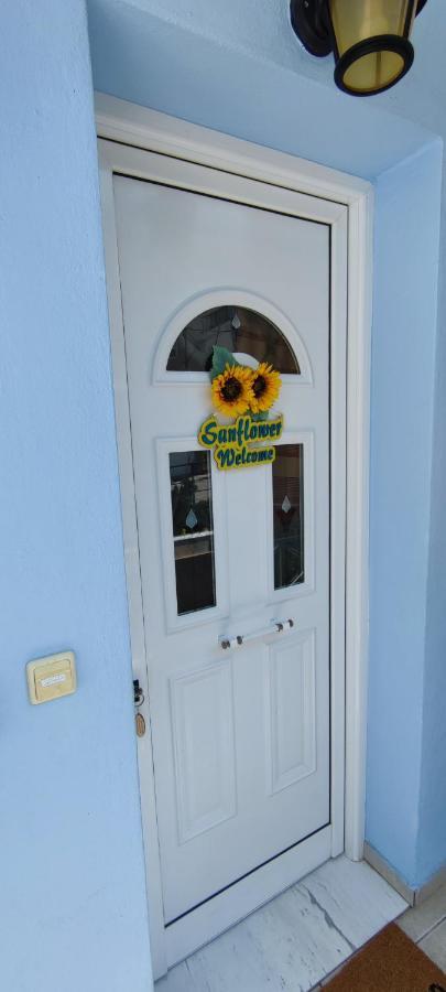 Sunflower Apartment Néa Péramos エクステリア 写真